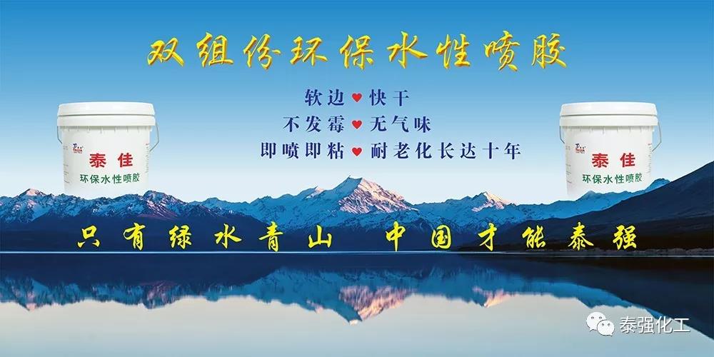 清远市实现历史零的突破！泰强化工获“国家知识产权示范企业”称号(图4)