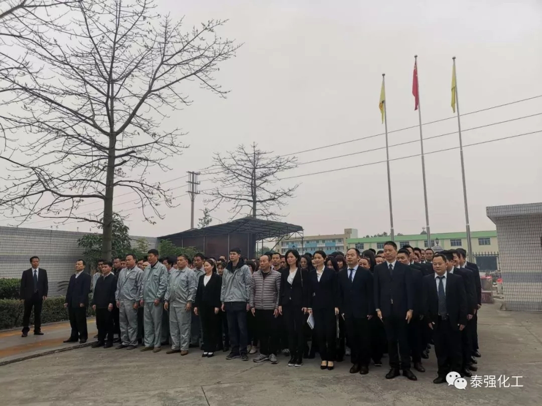 开工大吉!!!新年伊始,泰强2019全新出发!(图2) 开工大吉!!!新年伊始,泰强2019全新出发!(图2)